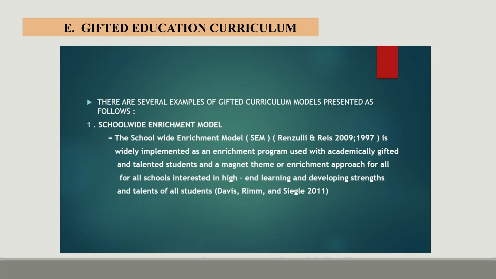 E. GIFTED EDUCATION CURRICULUM
 