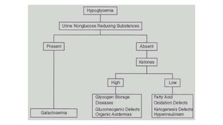 Newborn Screening