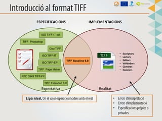 TIFF files
Conformance
CheckTIFF format
specifications
Report
 