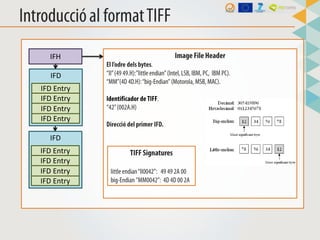 IFH
IFD
IFD Entry
IFD Entry
IFD Entry
IFD Entry
IFD
IFD Entry
IFD Entry
IFD Entry
IFD Entry
 
