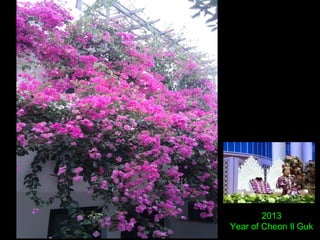 2013
Year of Cheon Il Guk
 