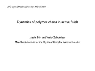 Dynamics of polymer chains in active ﬂuids
Jaeoh Shin andVasily Zaburdaev
Max-Planck-Institute for the Physics of Complex Systems, Dresden
— DPG Spring Meeting Dresden, March 2017 —
 