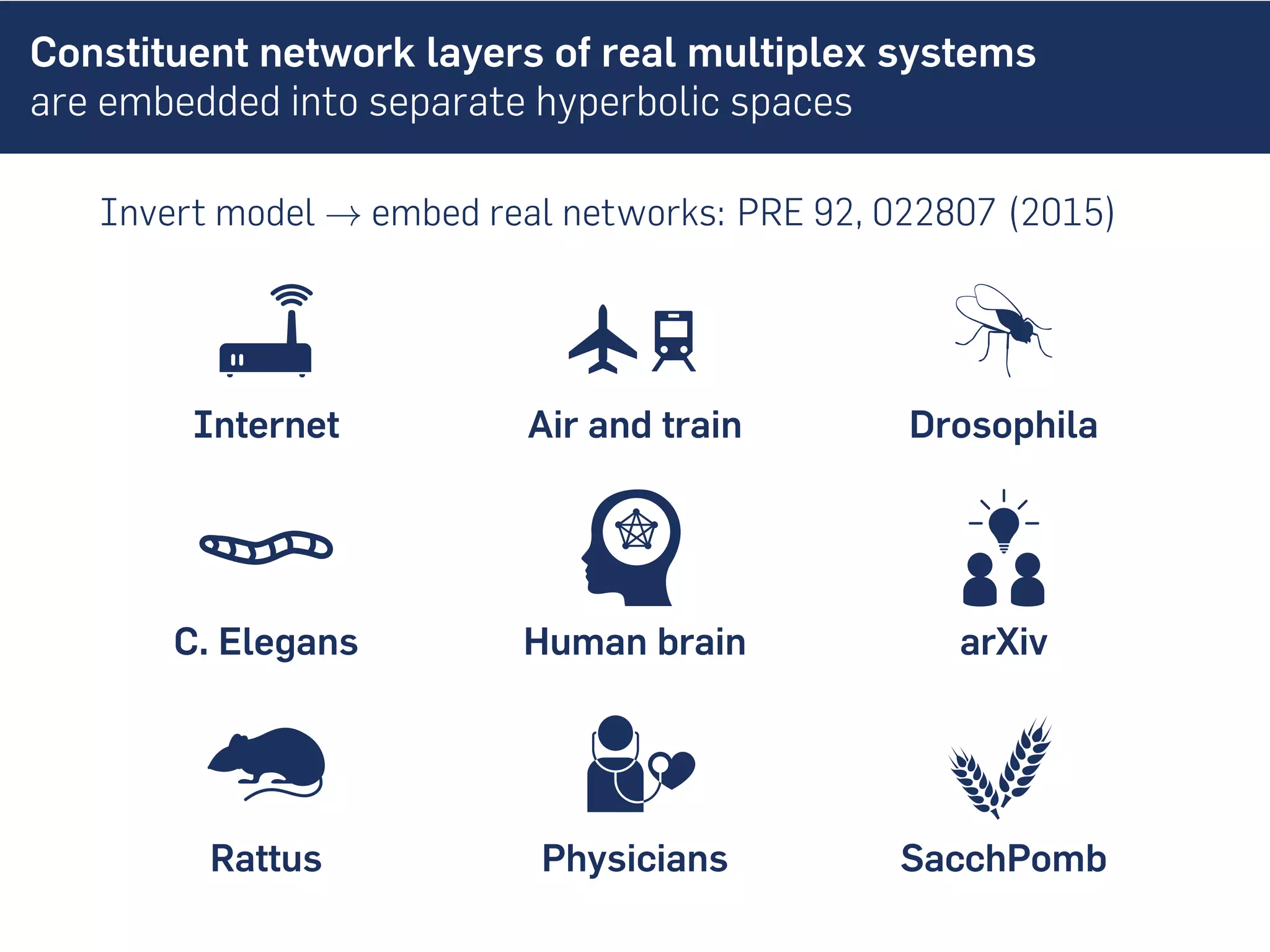 Constituent network layers of real multiplex systems
are embedded into separate hyperbolic spaces
Invert model → embed real networks: PRE 92, 022807 (2015)
Internet Air and train Drosophila
C. Elegans Human brain arXiv
Rattus Physicians SacchPomb
 