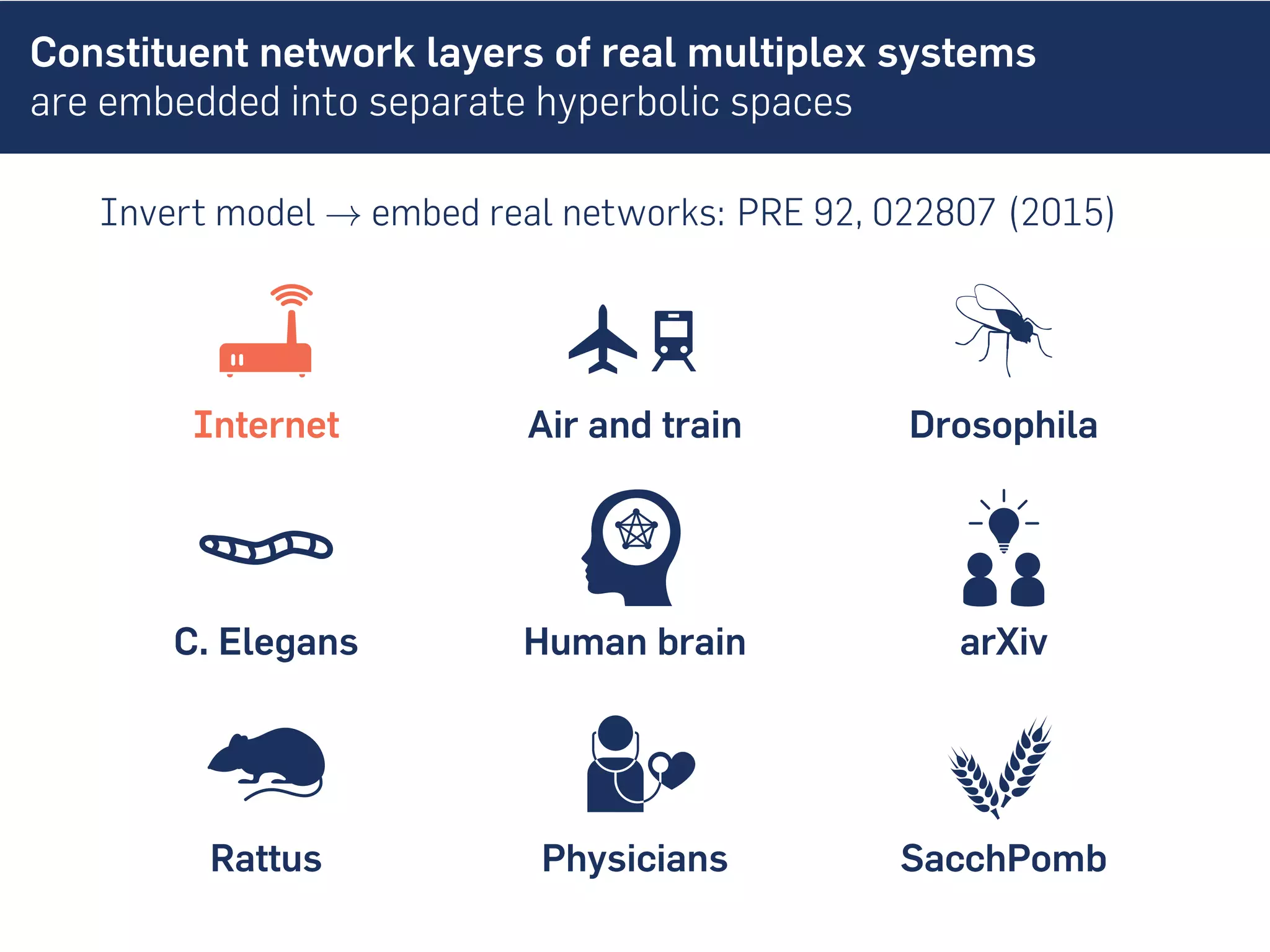 Constituent network layers of real multiplex systems
are embedded into separate hyperbolic spaces
Invert model → embed real networks: PRE 92, 022807 (2015)
Internet Air and train Drosophila
C. Elegans Human brain arXiv
Rattus Physicians SacchPomb
 