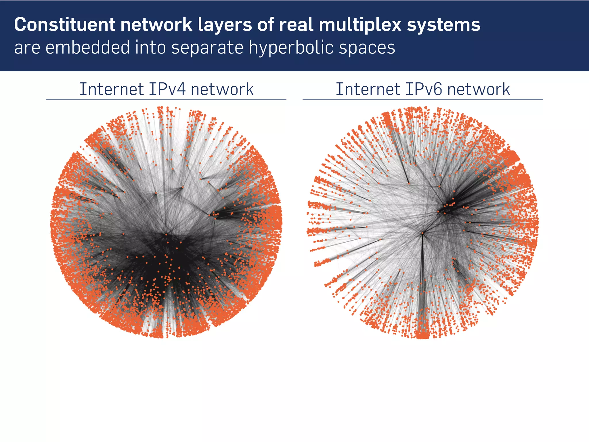 Constituent network layers of real multiplex systems
are embedded into separate hyperbolic spaces
Internet IPv4 network Internet IPv6 network
 