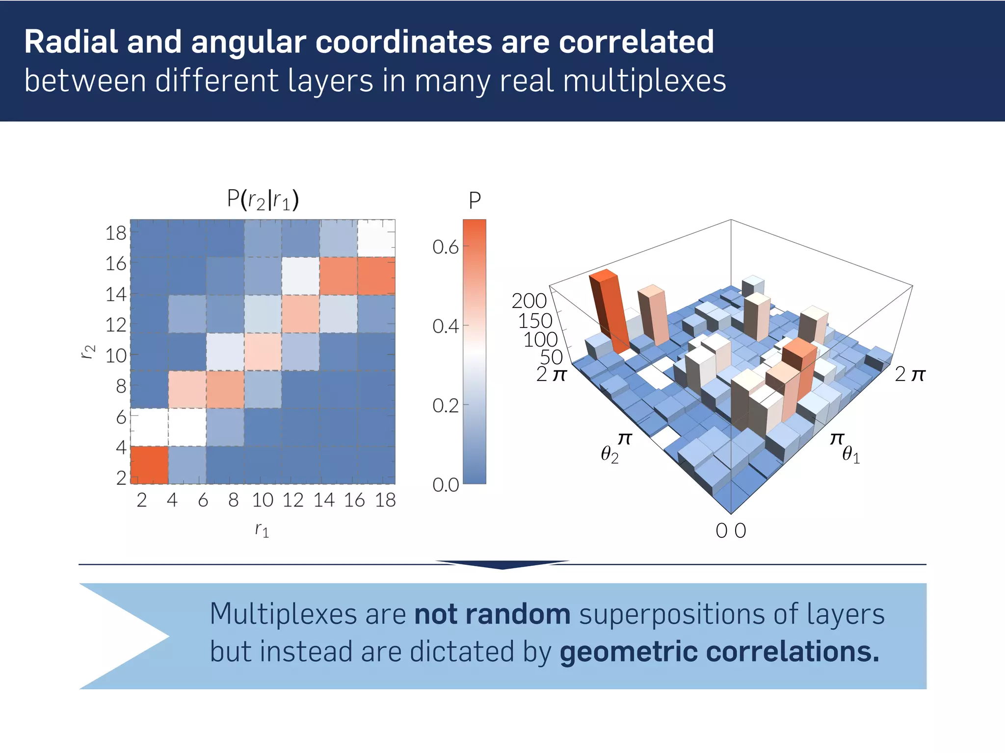 Radial and angular coordinates are correlated
between different layers in many real multiplexes
0
π
2 π
θ1
0
π
2 π
θ2
50
100
150
200
Multiplexes are not random superpositions of layers
but instead are dictated by geometric correlations.
 