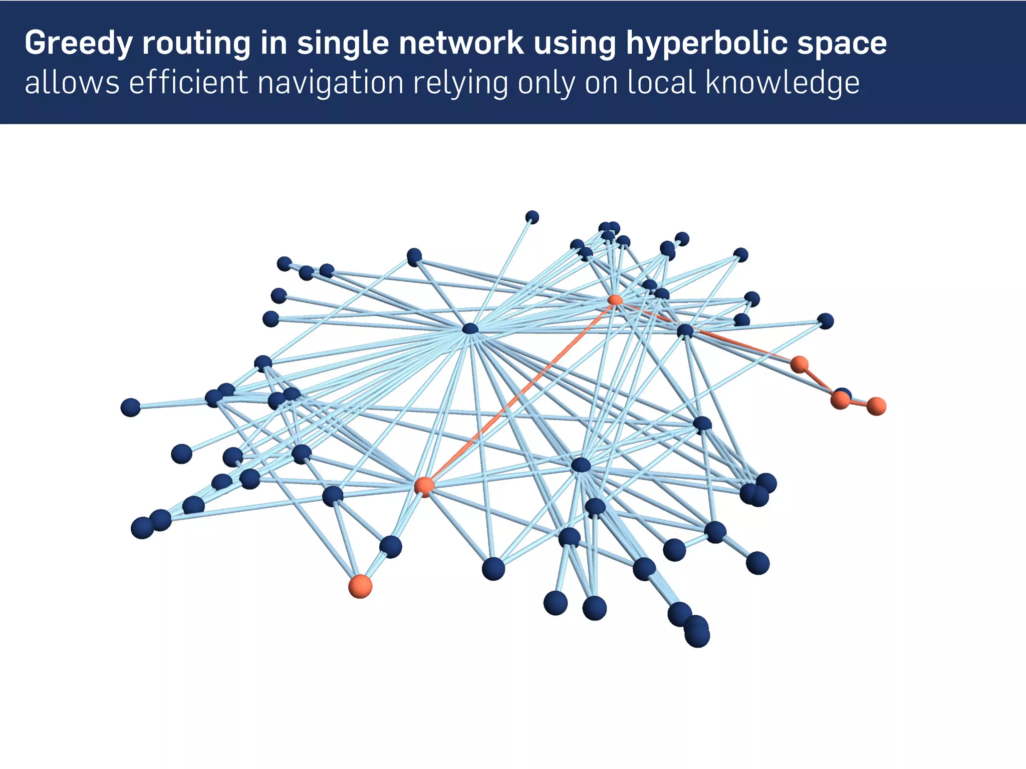 Greedy routing in single network using hyperbolic space
allows efficient navigation relying only on local knowledge
 