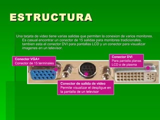 ESTRUCTURA
Una tarjeta de video tiene varias salidas que permiten la conexion de varios monitores.
   Es casual encontrar un conector de 15 salidas para monitores tradicionales,
   tambien esta el conector DVI para pantallas LCD y un conector para visualizar
   imagenes en un televisor.
 