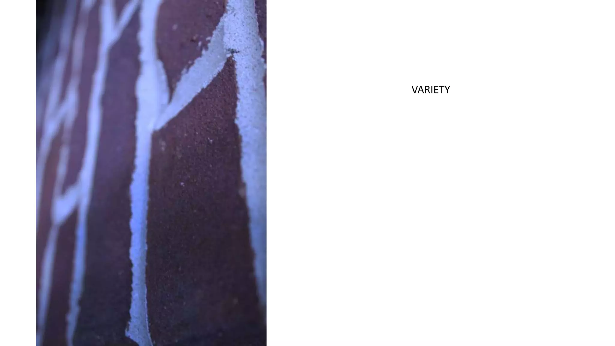 VARIETY