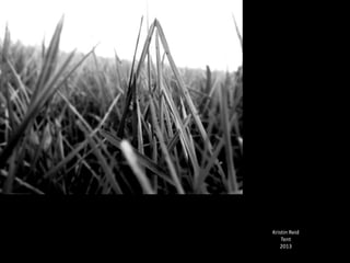 Kristin Reid
Tent
2013