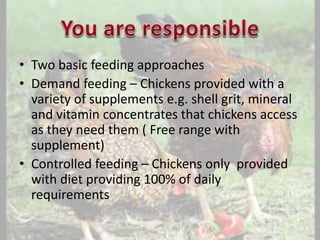 • Two basic feeding approaches
• Demand feeding – Chickens provided with a
variety of supplements e.g. shell grit, mineral
and vitamin concentrates that chickens access
as they need them ( Free range with
supplement)
• Controlled feeding – Chickens only provided
with diet providing 100% of daily
requirements
 