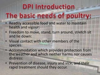 • Readily accessible food and water to maintain
health and vigour:
• Freedom to move, stand, turn around, stretch sit
and lie down:
• Visual contact with other members of the
species:
• Accommodation which provides protection from
the weather and which neither harms nor causes
distress:
• Prevention of disease, injury and vice, and their
rapid treatment should they occur.
 