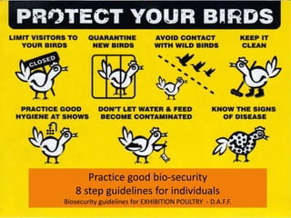 Practice good bio-security
8 step guidelines for individuals
Biosecurity guidelines for EXHIBITION POULTRY - D.A.F.F.
 