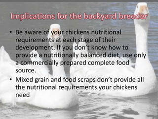 • Be aware of your chickens nutritional
requirements at each stage of their
development. If you don’t know how to
provide a nutritionally balanced diet, use only
a commercially prepared complete food
source.
• Mixed grain and food scraps don’t provide all
the nutritional requirements your chickens
need
 