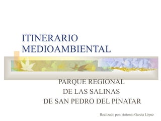 ITINERARIO MEDIOAMBIENTAL PARQUE REGIONAL  DE LAS SALINAS  DE SAN PEDRO DEL PINATAR Realizado por: Antonio García López 