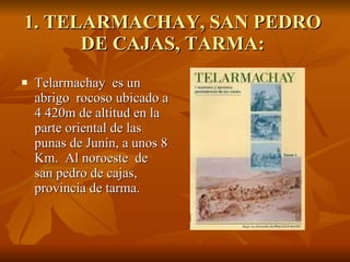 1. TELARMACHAY, SAN PEDRO  DE CAJAS, TARMA:  ,[object Object]