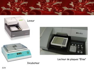 S/A 
Laveur 
Lecteur de plaques "Elisa" 
Incubateur 
 