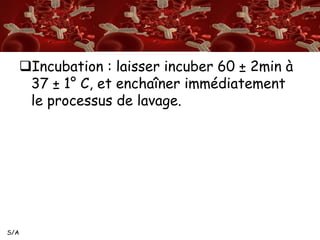 S/A 
Incubation : laisser incuber 60 ± 2min à 
37 ± 1° C, et enchaîner immédiatement 
le processus de lavage. 
 