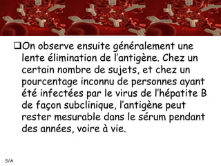 S/A 
On observe ensuite généralement une 
lente élimination de l’antigène. Chez un 
certain nombre de sujets, et chez un 
pourcentage inconnu de personnes ayant 
été infectées par le virus de l’hépatite B 
de façon subclinique, l’antigène peut 
rester mesurable dans le sérum pendant 
des années, voire à vie. 
 