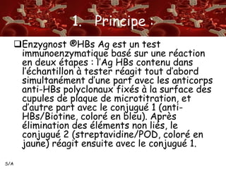 S/A 
1. Principe : 
Enzygnost ®HBs Ag est un test 
immunoenzymatique basé sur une réaction 
en deux étapes : l’Ag HBs contenu dans 
l’échantillon à tester réagit tout d’abord 
simultanément d’une part avec les anticorps 
anti-HBs polyclonaux fixés à la surface des 
cupules de plaque de microtitration, et 
d’autre part avec le conjugué 1 (anti- 
HBs/Biotine, coloré en bleu). Après 
élimination des éléments non liés, le 
conjugué 2 (streptavidine/POD, coloré en 
jaune) réagit ensuite avec le conjugué 1. 
 