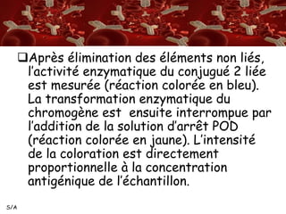 S/A 
Après élimination des éléments non liés, 
l’activité enzymatique du conjugué 2 liée 
est mesurée (réaction colorée en bleu). 
La transformation enzymatique du 
chromogène est ensuite interrompue par 
l’addition de la solution d’arrêt POD 
(réaction colorée en jaune). L’intensité 
de la coloration est directement 
proportionnelle à la concentration 
antigénique de l’échantillon. 
 