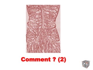 Comment ? (2)
 