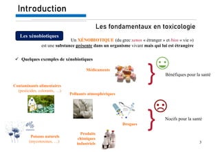 Tests antidrogue en entreprise : pour qui et dans quelles