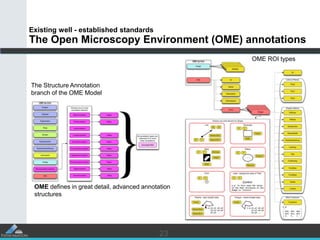 2323
Existing well - established standards
The Open Microscopy Environment (OME) annotations
OME ROI types
The Structure A...