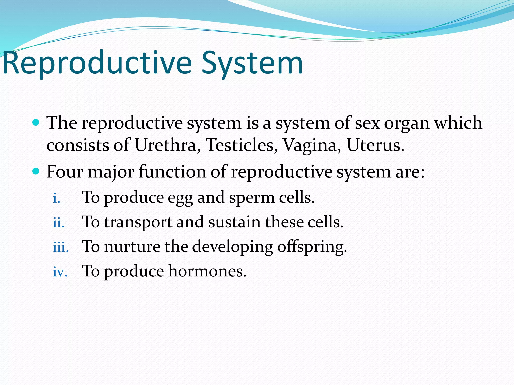 Reproductive System
 The reproductive system is a system of sex organ which
consists of Urethra, Testicles, Vagina, Uterus.
 Four major function of reproductive system are:
i. To produce egg and sperm cells.
ii. To transport and sustain these cells.
iii. To nurture the developing offspring.
iv. To produce hormones.
 