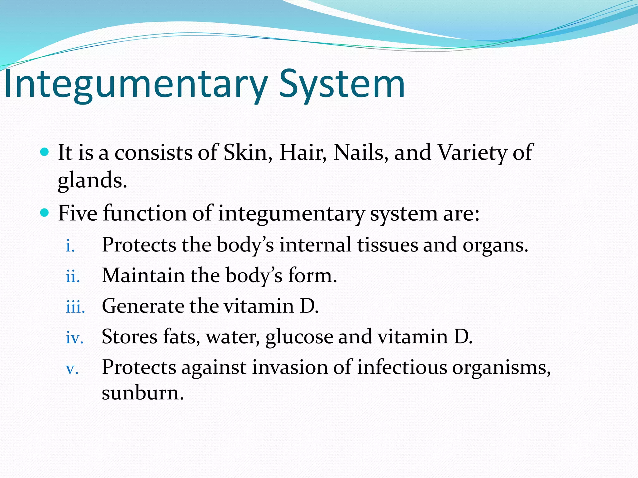 Integumentary System
 It is a consists of Skin, Hair, Nails, and Variety of
glands.
 Five function of integumentary system are:
i. Protects the body’s internal tissues and organs.
ii. Maintain the body’s form.
iii. Generate the vitamin D.
iv. Stores fats, water, glucose and vitamin D.
v. Protects against invasion of infectious organisms,
sunburn.
 