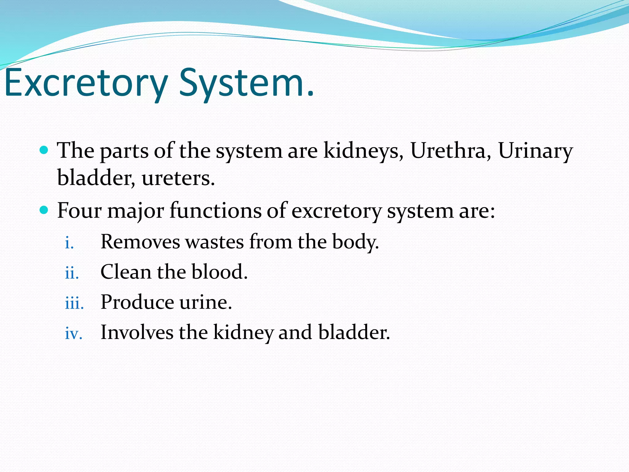 Excretory System.
 The parts of the system are kidneys, Urethra, Urinary
bladder, ureters.
 Four major functions of excretory system are:
i. Removes wastes from the body.
ii. Clean the blood.
iii. Produce urine.
iv. Involves the kidney and bladder.
 