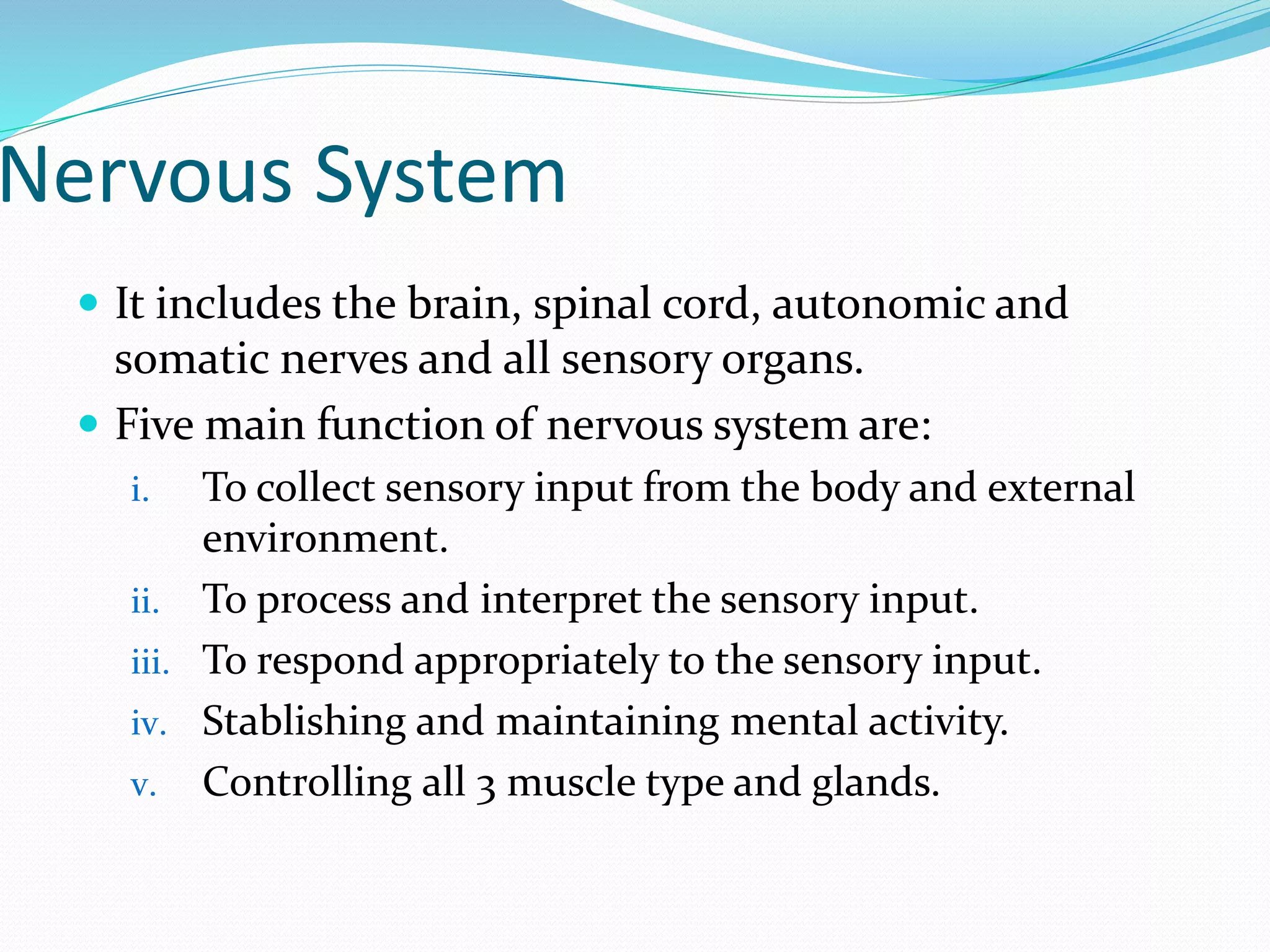 Nervous System
 It includes the brain, spinal cord, autonomic and
somatic nerves and all sensory organs.
 Five main function of nervous system are:
i. To collect sensory input from the body and external
environment.
ii. To process and interpret the sensory input.
iii. To respond appropriately to the sensory input.
iv. Stablishing and maintaining mental activity.
v. Controlling all 3 muscle type and glands.
 