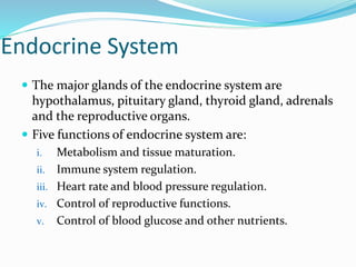 Endocrine System
 The major glands of the endocrine system are
hypothalamus, pituitary gland, thyroid gland, adrenals
and the reproductive organs.
 Five functions of endocrine system are:
i. Metabolism and tissue maturation.
ii. Immune system regulation.
iii. Heart rate and blood pressure regulation.
iv. Control of reproductive functions.
v. Control of blood glucose and other nutrients.
 