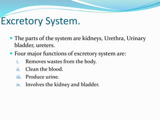 Excretory System.
 The parts of the system are kidneys, Urethra, Urinary
bladder, ureters.
 Four major functions of excretory system are:
i. Removes wastes from the body.
ii. Clean the blood.
iii. Produce urine.
iv. Involves the kidney and bladder.
 