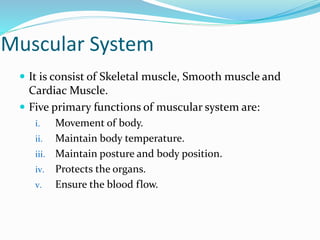 Muscular System
 It is consist of Skeletal muscle, Smooth muscle and
Cardiac Muscle.
 Five primary functions of muscular system are:
i. Movement of body.
ii. Maintain body temperature.
iii. Maintain posture and body position.
iv. Protects the organs.
v. Ensure the blood flow.
 