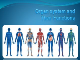 Draw it to Know it – Physiology, Organ Systems, Free Download