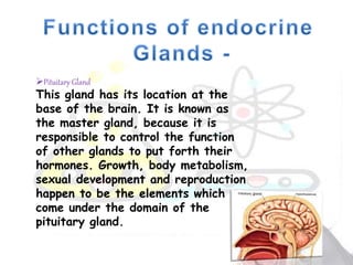 Pituitary Gland
This gland has its location at the
base of the brain. It is known as
the master gland, because it is
responsible to control the function
of other glands to put forth their
hormones. Growth, body metabolism,
sexual development and reproduction
happen to be the elements which
come under the domain of the
pituitary gland.
 