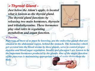 Thyroid Gland-
Just below the Adam's apple, is
located what is known as the
thyroid gland. The thyroid gland
functions by releasing two main
hormones, thyroxin and
triiodothyronine. These hormones
play vital roles in regulating
metabolism and organ function.
Thyroid Gland -
Just below the Adam's apple, is located
what is known as the thyroid gland.
The thyroid gland functions by
releasing two main hormones, thyroxin
and triiodothyronine. These hormones
play vital roles in regulating
metabolism and organ function.
Pancreas
Pancreas, as most of us must be knowing, are the endocrine glands that are
situated in the abdominal region, behind the stomach. The hormones which
get secreted into the blood stream by these glands, serve to control proper
digestion and blood sugar regulation. Insulin and glucagon’s are known to be
the important hormones produced by the glands. One of the major function
of the pancreas is maintaining appropriate levels of sugar throughout the
body.
 