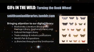 GIFs IN THE WILD: Turning the Book Wheel
smithsonianlibraries.tumblr.com
Bringing attention to our digital library:
● Biodiversity Literature (Biodiversity
Heritage Library, biodiversitylibrary.org)
● Cultural Heritage Library
● Trade catalogs & industry publications
● World’s Fair & Expositions
● 21 Branches throughout the Smithsonian
 