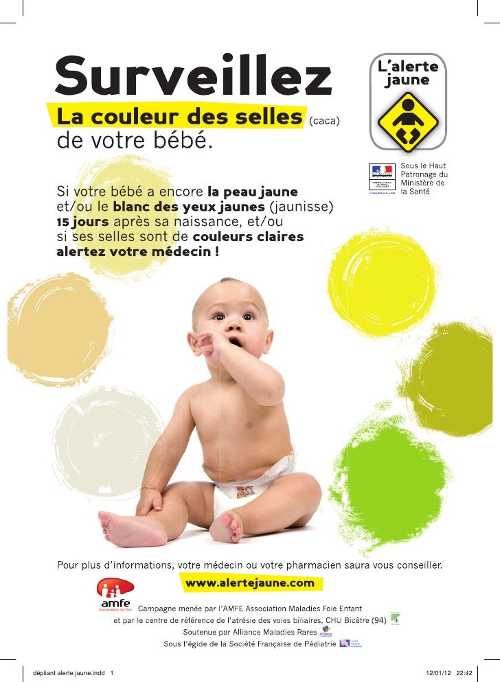 Alerte Jaune Depliant