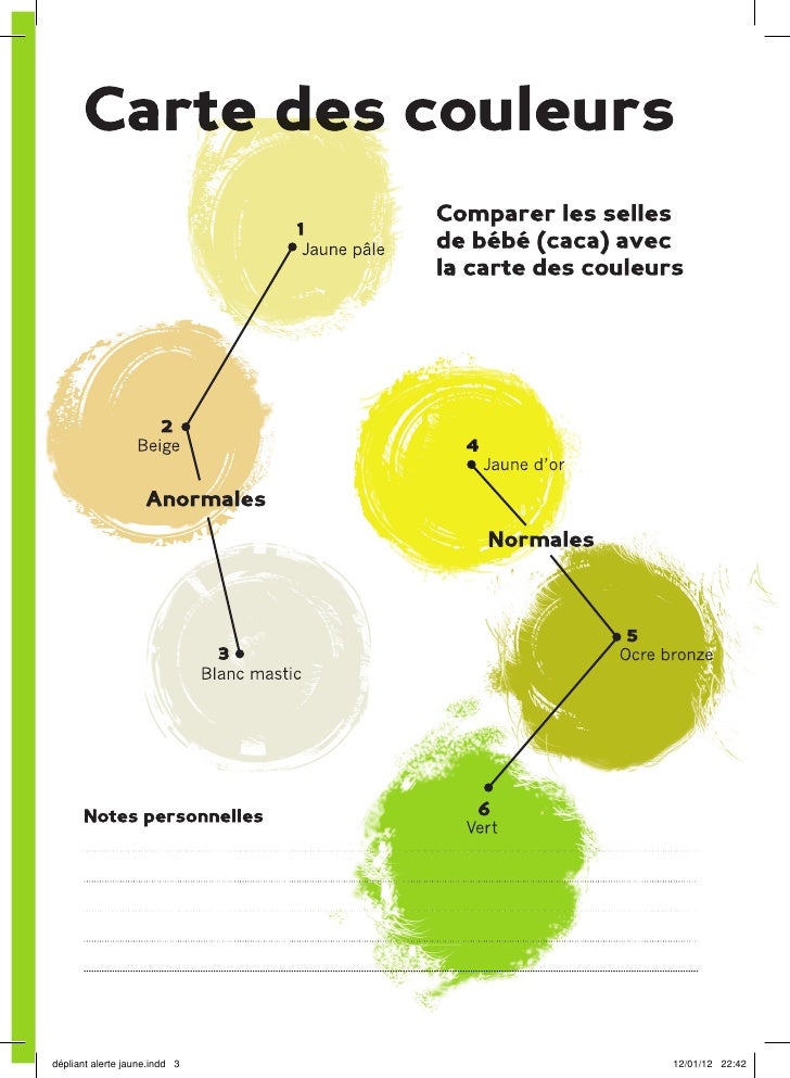 Alerte Jaune Depliant