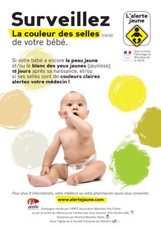 Depliant De L Alerte Jaune Campagne De Depistage Des Maladies Du Foi