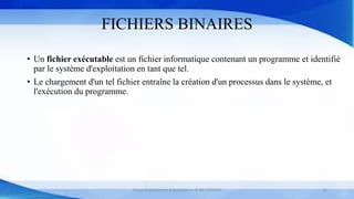 FICHIERS BINAIRES
• Un fichier exécutable est un fichier informatique contenant un programme et identifié
par le système d'exploitation en tant que tel.
• Le chargement d'un tel fichier entraîne la création d'un processus dans le système, et
l'exécution du programme.
Cours Déploiement d’applications © Mr CHTIOUI 21
 