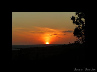 Sunset Sweden
 