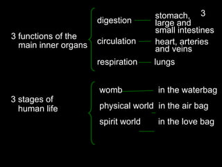 digestion
circulation
respiration lungs
stomach,
large and
small intestines
heart, arteries
and veins
3 functions of the
main inner organs
3 stages of
human life
womb in the waterbag
physical world in the air bag
spirit world in the love bag
3
 