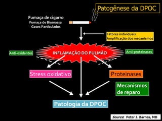 INFLAMAÇÃO DO PULMÃO
Fatores individuais
Amplificação dos mecanismos
Patologia da DPOC
ProteinasesStress oxidativo
Anti-proteinasesAnti-oxidantes
Mecanismos
de reparo
Fumaça de cigarro
Fumaça de Biomassa
Gases Particulados
Patogênese da DPOC
Source: Peter J. Barnes, MD
 