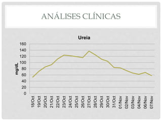 ANÁLISES CLÍNICAS
0
20
40
60
80
100
120
140
160
18/Oct
19/Oct
20/Oct
21/Oct
22/Oct
23/Oct
24/Oct
25/Oct
26/Oct
27/Oct
28/Oct
29/Oct
30/Oct
31/Oct
01/Nov
02/Nov
03/Nov
04/Nov
06/Nov
07/Nov
mg/dL
Ureia
 