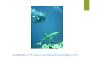 Shark!	by	guitarfish	used	under	Creative	Commons	Attribution	Non-Commercial	2.0	Generic	license.	
 