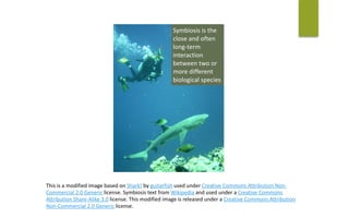 Symbiosis	is	the	
close	and	often	
long-term	
interaction	
between	two	or	
more	different	
biological	species
This	is	a	modified	image	based	on	Shark!	by	guitarfish	used	under	Creative	Commons	Attribution	Non-
Commercial	2.0	Generic	license.	Symbiosis	text	from	Wikipedia	and	used	under	a	Creative	Commons	
Attribution	Share-Alike	3.0	license.	This	modified	image	is	released	under	a	Creative	Commons	Attribution	
Non-Commercial	2.0	Generic	license.
 