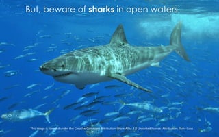 This	image	is	licensed	under	the	Creative	Commons	Attribution-Share	Alike	3.0	Unported	license.	Attribution:	Terry	Goss
But, beware of sharks in open waters
 